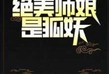 阴阳先生：绝美师娘是狐妖小说阅读，阴阳先生：绝美师娘是狐妖完结版-艾米文学