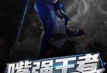 嘴强王者的重生之路神马笔凉，嘴强王者的重生之路在线无弹窗阅读-艾米文学