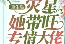完结版《重生后，灾星她带旺专情大佬》免费阅读-艾米文学