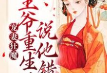 宠妻狂魔:王爷重生后说他错了沈雁归墨承影小说完结版章节在线阅读-艾米文学