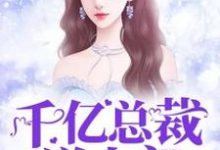 千亿总裁送上门沈悠然唐熠城小说在线章节免费阅读-艾米文学