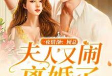 已完结小说《一夜情深:顾总,夫人又闹离婚了》章节免费阅读-艾米文学