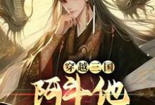 穿越三国：阿斗他站起来了！小说的免费阅读版本在哪里可以找到？-艾米文学