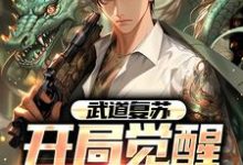 武道复苏:开局觉醒无双天赋小说,武道复苏:开局觉醒无双天赋苏鸿鸿-艾米文学