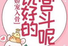 娇宠入骨:说好的宫斗呢?章节免费在线阅读,苏静翕宗政瑾完结版-艾米文学