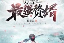 万古最强赘婿小说全文阅读需要付费吗？寻找免费资源-艾米文学