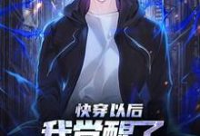 快穿以后，我觉醒了最强“装备栏”林昊小说大结局免费试读-艾米文学