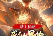 踏上仙路，成仙界的人族最强代表小说，踏上仙路，成仙界的人族最强代表章节在线阅读-艾米文学
