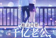 相亲闪婚:千亿老公天天藏马甲小说的所有章节都能在哪里免费读到?-艾米文学