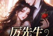 厉先生你轻点宠黎初厉明州在线章节免费阅读-艾米文学