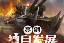 亮剑：独自发展，开局连升十级林旭小说完结版章节在线阅读-艾米文学
