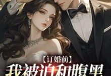 订婚前，我被迫和腹黑大佬领证了小说全文哪里可以免费看？-艾米文学