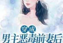 小说《穿成男主恶毒前妻后，她每天洗白》章节免费阅读-艾米文学