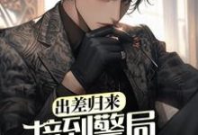 出差归来，接到警局电话赎老婆这本小说完结了吗？免费查看最新章节-艾米文学