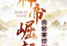 小说《神帝崛起：我能掌控生死》章节免费阅读-艾米文学