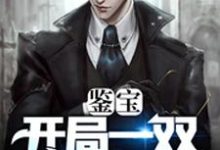 鉴宝：开局一双黄金瞳陈林小说大结局免费试读-艾米文学