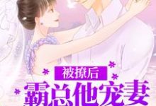 被撩后,霸总他宠妻无底线小说的免费电子版在哪里可以下载或阅读?-艾米文学