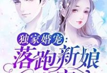 独家婚宠:落跑新娘甜蜜蜜唐夏天覃慕寒,独家婚宠:落跑新娘甜蜜蜜小说免费阅读-艾米文学