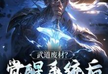 《武道废材？觉醒系统后我杀疯了》全集免费在线阅读（ 苏哲韩悦）-艾米文学