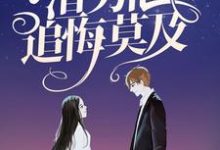 陆安禾厉成扉小说顶级豪门做娘家,渣男他追悔莫及在线阅读-艾米文学