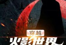 穿越火影世界,我要娶娇妻千手扉间宇智波泉奈,穿越火影世界,我要娶娇妻最新章节-艾米文学