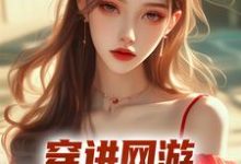 小说《穿进网游，娇妻等我来哄》在线章节阅读-艾米文学