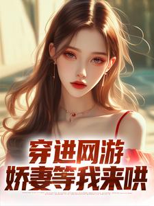 小说《穿进网游，娇妻等我来哄》在线章节阅读