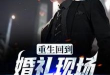 已完结小说《重生回到婚礼现场，先解除婚约》章节免费阅读-艾米文学