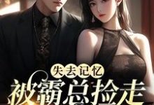 失去记忆，被霸总捡走当女主免费阅读，失去记忆，被霸总捡走当女主陆迟晚厉宴行-艾米文学