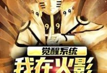 觉醒系统，我在火影世界赢麻了这本小说在哪里可以看？哪里有免费试读章节？-艾米文学