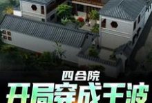 四合院：开局穿成王波，拒绝白嫖小说，四合院：开局穿成王波，拒绝白嫖免费阅读-艾米文学