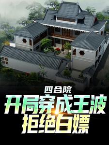 四合院：开局穿成王波，拒绝白嫖小说，四合院：开局穿成王波，拒绝白嫖免费阅读