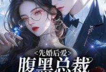 已完结小说《先婚后爱:腹黑总裁为她心狂跳》最新章节-艾米文学