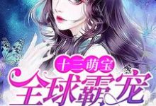 小说《十三萌宝：全球霸宠权太太》章节阅读-艾米文学