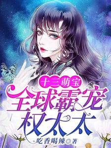 小说《十三萌宝：全球霸宠权太太》章节阅读