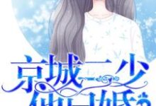 宠妻入骨:京城二少他已婚小说,宠妻入骨:京城二少他已婚宁小柠顾景修-艾米文学