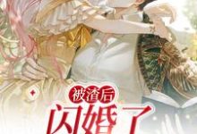 《被渣后,闪婚了千亿霸总》小说章节列表免费试读,江璐思战时耀小说在线阅读-艾米文学