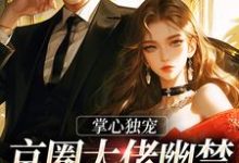 小说《掌心独宠：京圈大佬幽禁温软小仙女》在线章节阅读-艾米文学