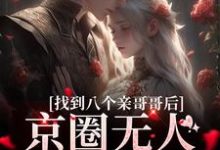 找到八个亲哥哥后，京圈无人敢惹她叶小汐小说在线章节目录阅读最新章节-艾米文学