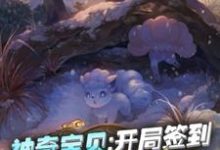 免费看神奇宝贝：开局签到阿罗拉六尾小说的网站有哪些？-艾米文学