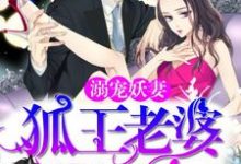 夜灵厉瑾琰雷泽墨九殇小说溺宠妖妻：狐王老婆真绝色在线阅读章节-艾米文学