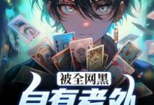 被全网黑？自有老外替我当嘴替章节免费在线阅读，王阳完结版-艾米文学