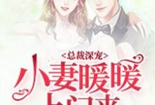求总裁深宠：小妻暖暖上门来小说免费资源-艾米文学