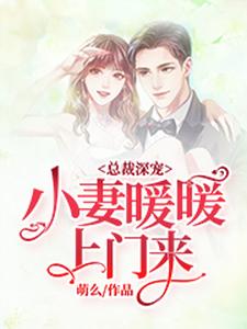 求总裁深宠：小妻暖暖上门来小说免费资源