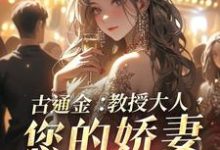 古通金:教授大人,您的娇妻已到货小说的免费阅读版本在哪里可以找到?-艾米文学