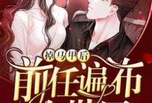 掉马甲后前任遍布全世界小说,掉马甲后前任遍布全世界章节在线阅读-艾米文学