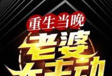 叶尽欢唐仲薇小说在线章节免费阅读（重生当晚，老婆太主动无弹窗无删减）-艾米文学