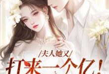 夫人她又打来一个亿!这婚我结!小说,夫人她又打来一个亿!这婚我结!在线阅读-艾米文学