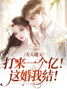 夫人她又打来一个亿！这婚我结！小说，夫人她又打来一个亿！这婚我结！在线阅读