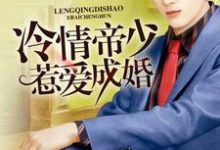 冷情帝少惹爱成婚免费阅读,冷情帝少惹爱成婚章节目录-艾米文学